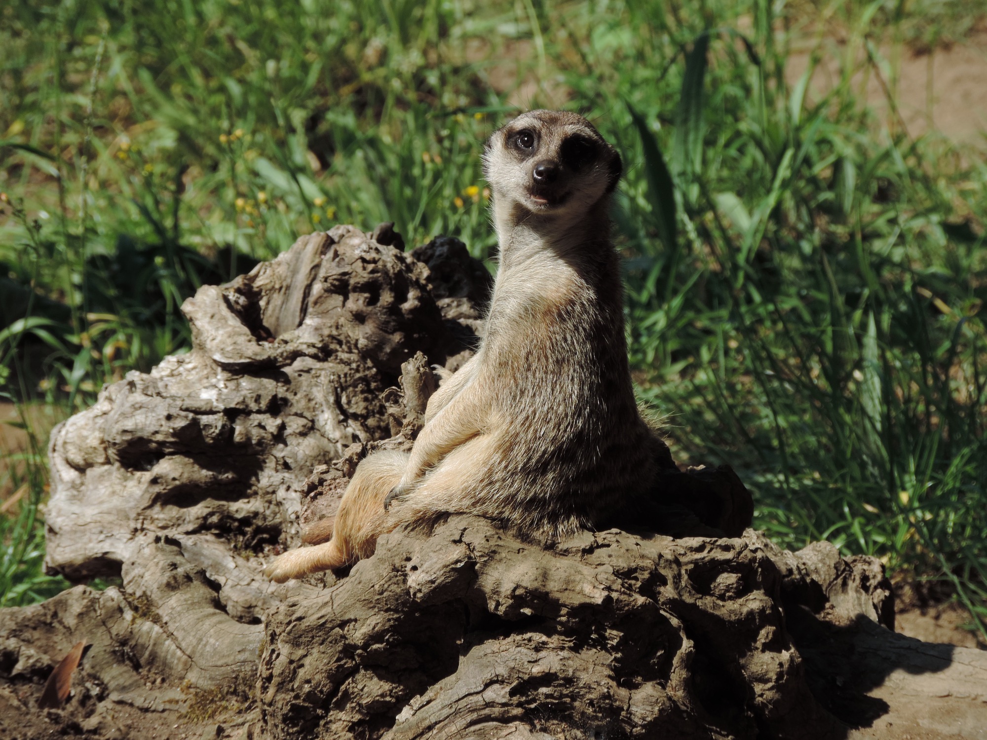 Actividades en VigoNature Martes 11