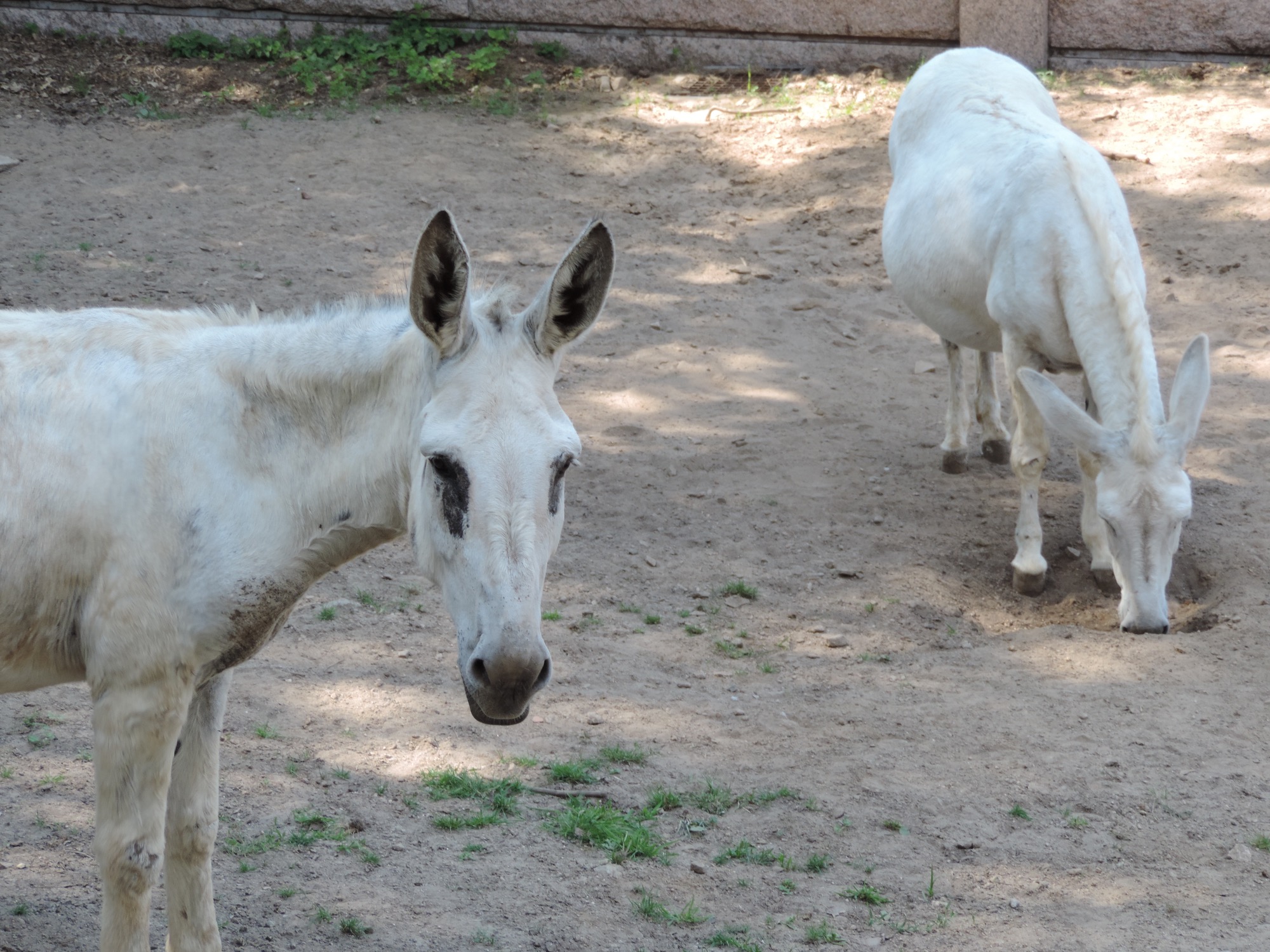 Actividades en VigoNature S�bado 15
