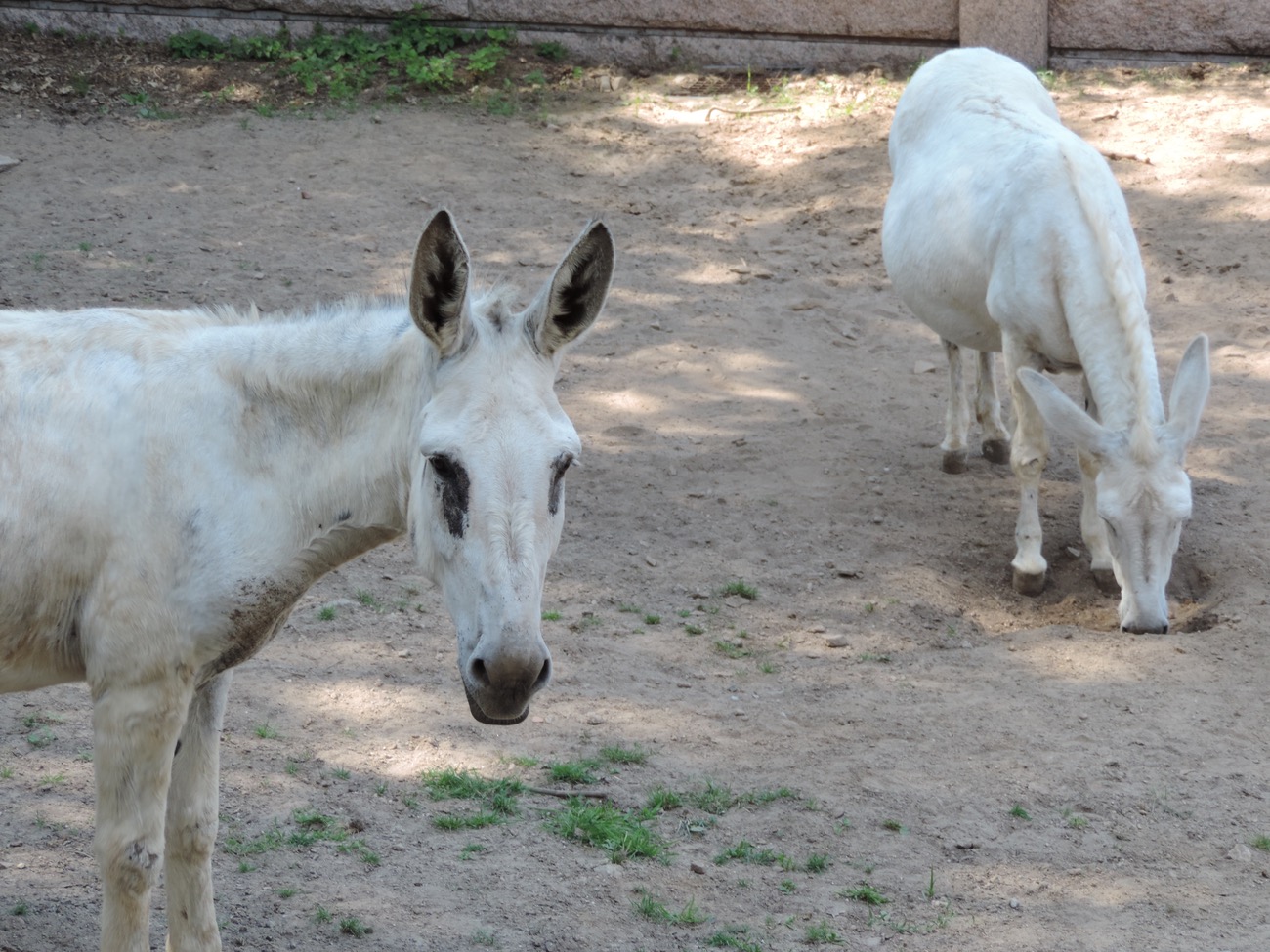 Actividades en VigoNature S�bado 15