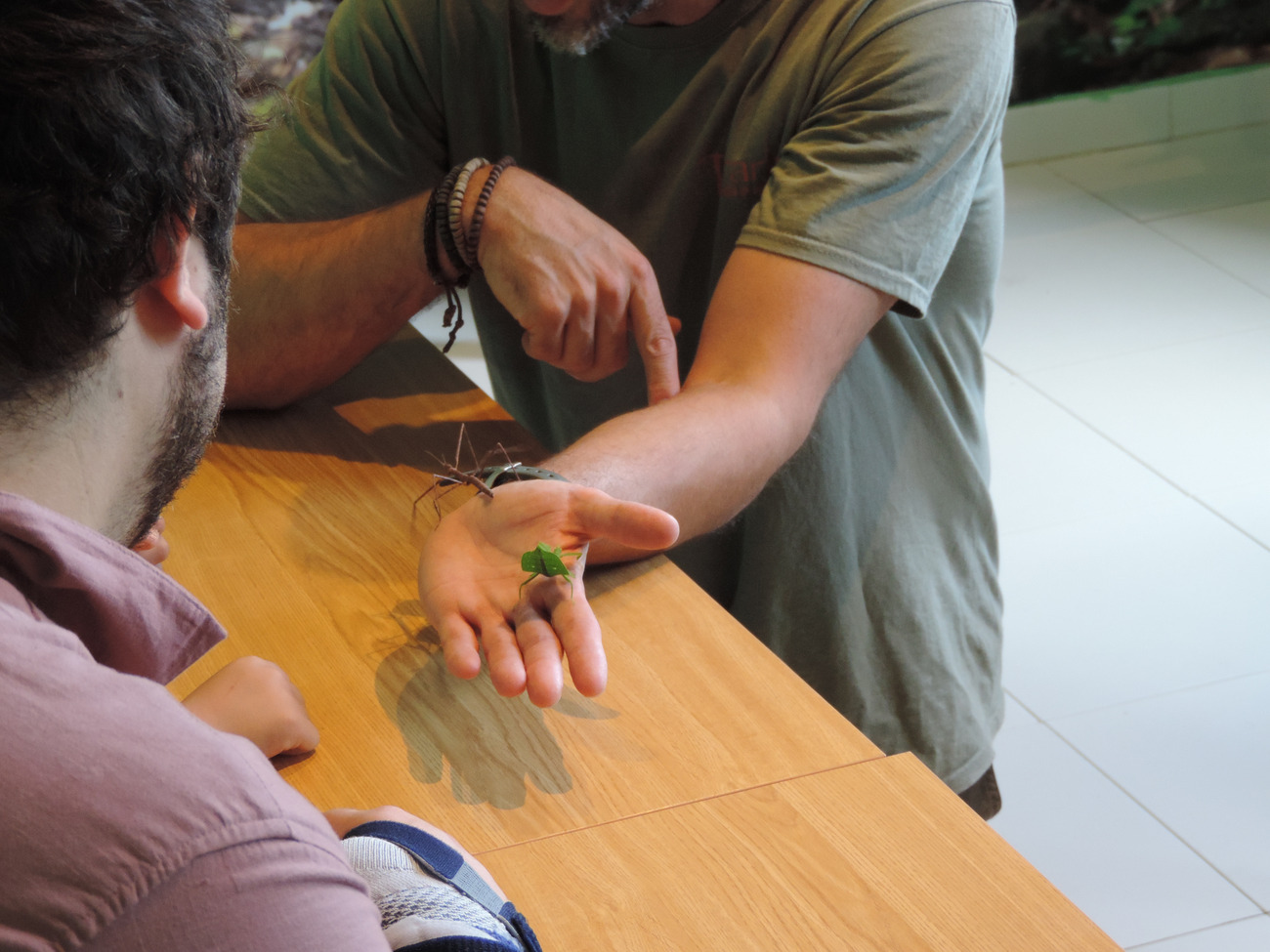 Actividades en VigoNature Domingo 23