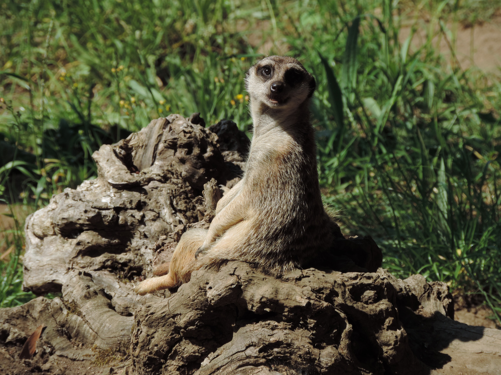 Actividades en VigoNature S�bado 29
