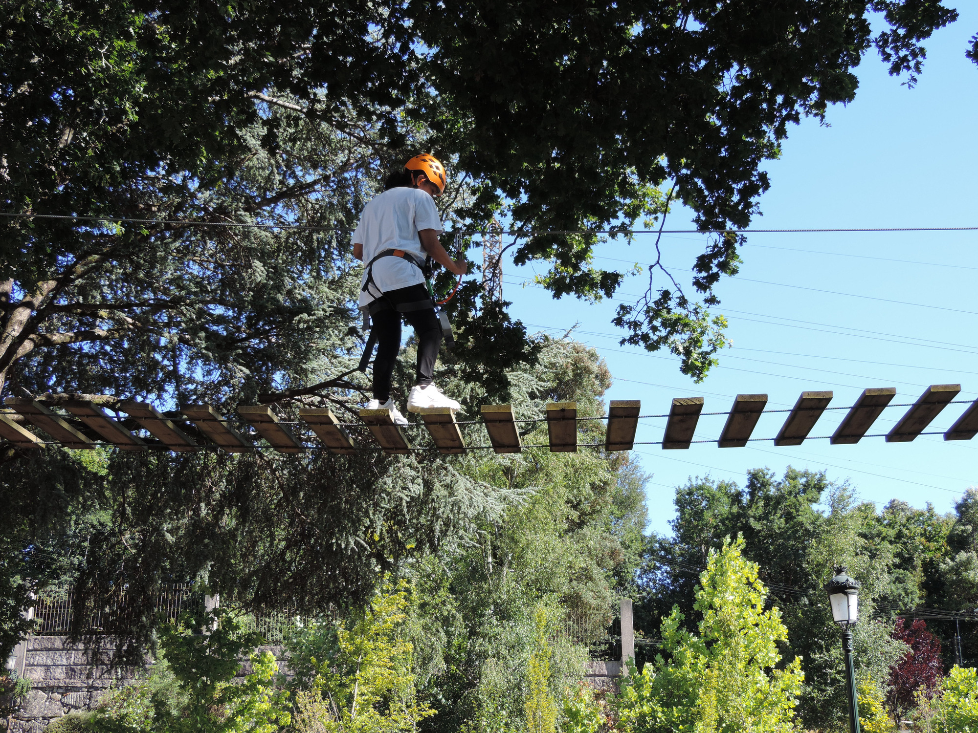 Actividades en VigoNature Luns 31